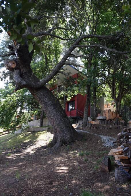 La Salamandra Casa Para 4 Personas Con Costa De Lago *